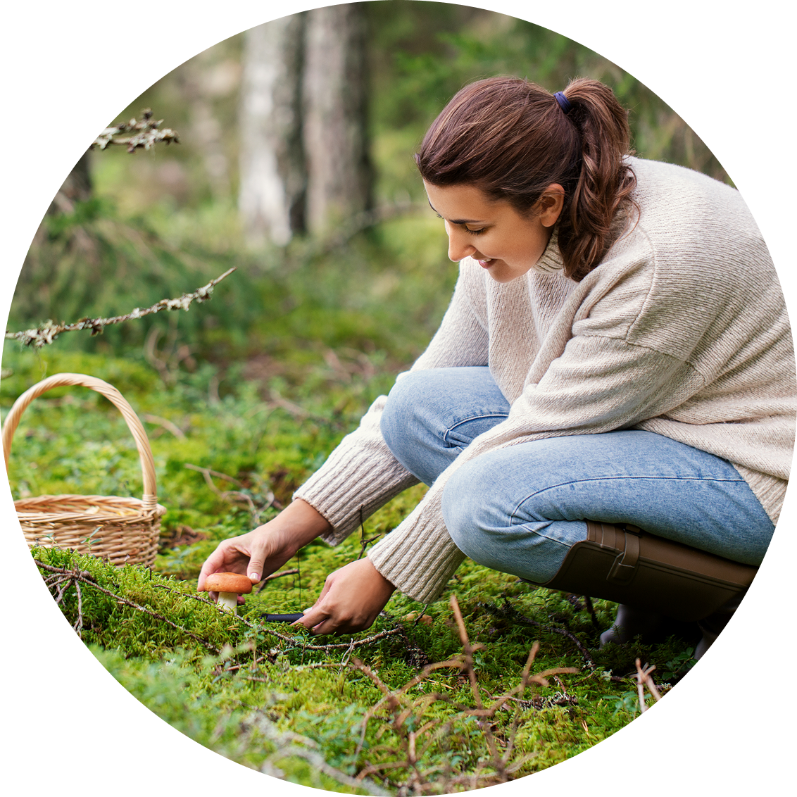 GettyImages-1398805711 (1) A woman foraging mushrooms in a forest, crouched with a basket nearby.